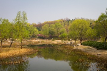 20150409_0028