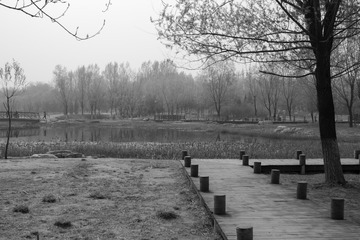 20150409_0080