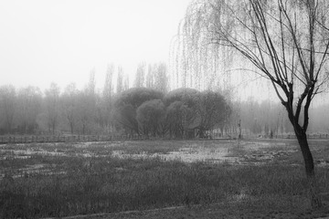 20150409_0077