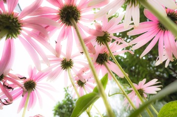 20150628_0035-1