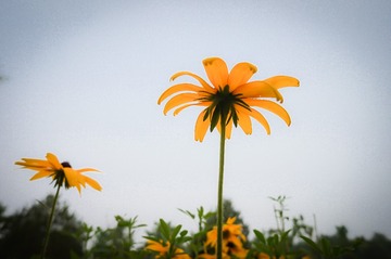 20150708_0004-1