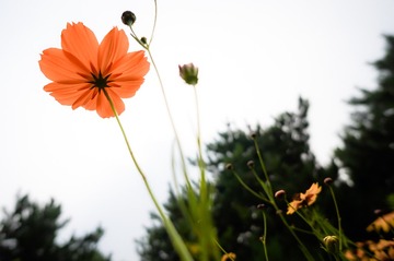 20150708_0011-1