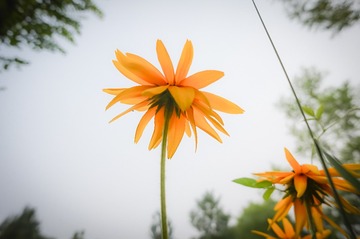 20150708_0005-1
