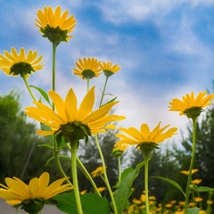 20150715_0002-1