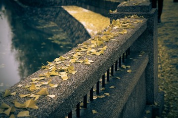 20151106_0034