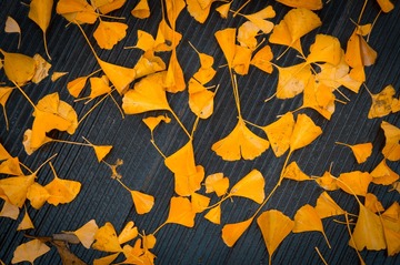 20151106_0003