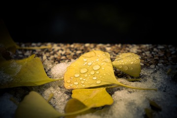 20151106_0031