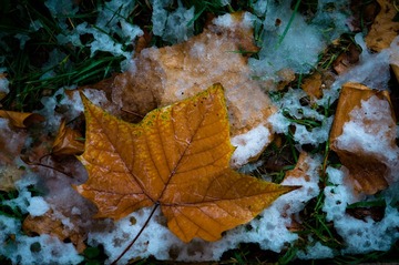 20151106_0027