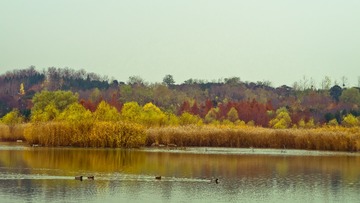 20151118_0008