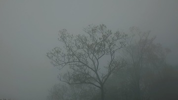 118675