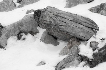 云南丽江玉龙雪山-18