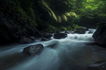 广西雨林