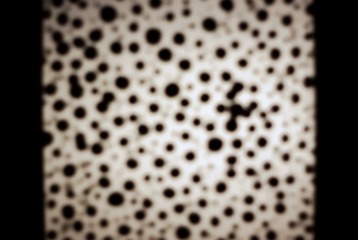 IMGP0624.jpg