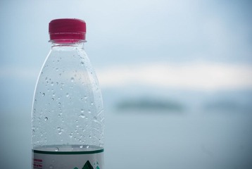 IMGP7875.jpg
