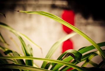 IMGP8947.jpg