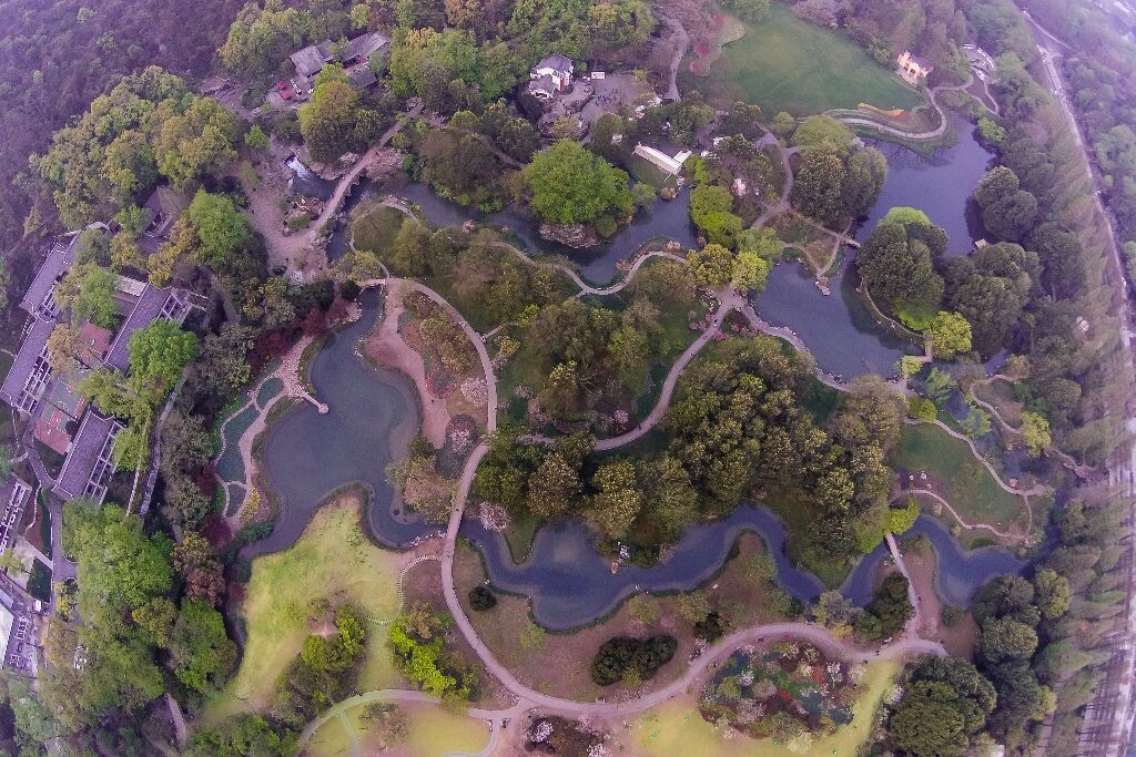 年年岁岁花相似，每年的这个时候都会来太子湾赏花观景。要避开熙熙攘攘的人流，至少6点半前需要抵达。今年，带上小飞机，换个角度欣赏她的瑰姿旖旎。