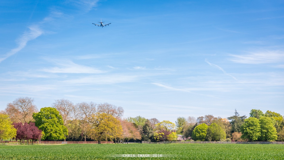 在thelongwalk看准备降落的飞机