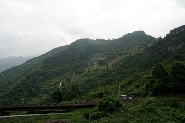 DSC09921_