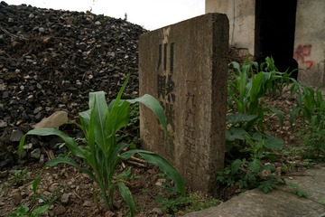 DSC00042_