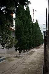 DSC00120_