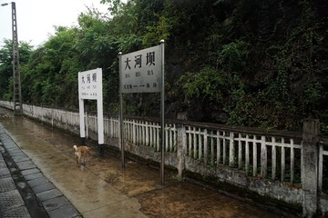 DSC00094_