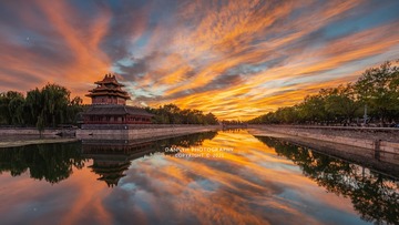 凤凰涅槃