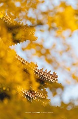 _DSC6902