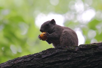 IMG_92325.07