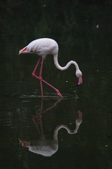 IMG_93985.07