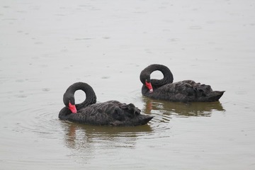 IMG_95675.07