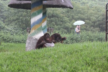 都是一对