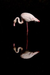 IMG_2006.JPG
