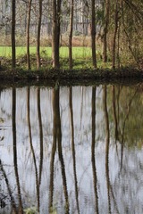 IMG_2126.JPG