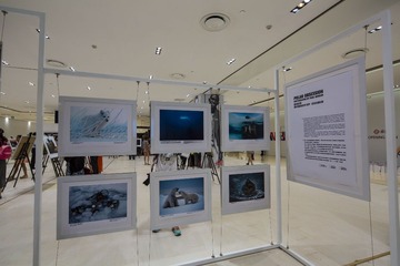 07 (11 - 41)