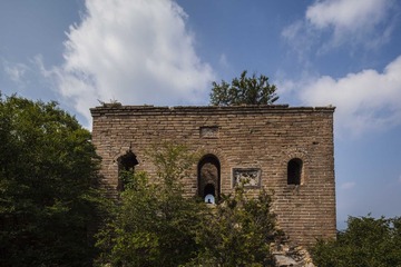 10 (5 - 81)