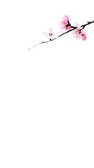 2059260