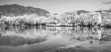 SDIM0119