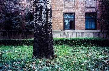 Scan-141127-0007-2