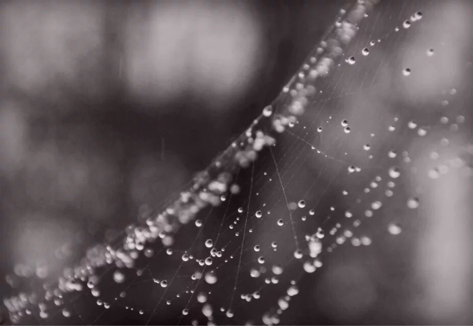 看得见的雨，看不见的网