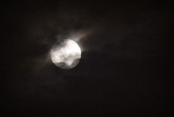 IMG_8153_
