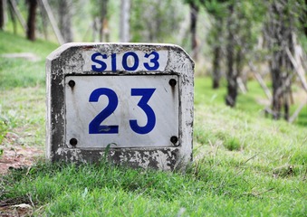 IMG_7378_