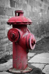 IMG_7935_