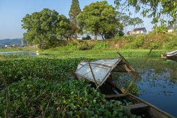“_DSC7189”