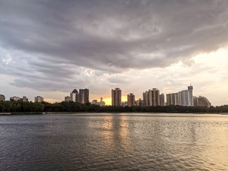 北红尾鸲83