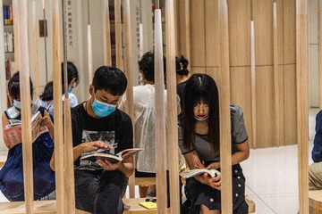 黄鸟