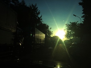 Picture 787a