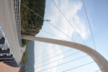 LSC_0595