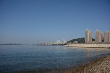 LSC_0559
