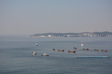 LSC_0561