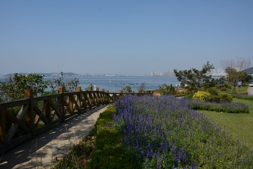 LSC_0569